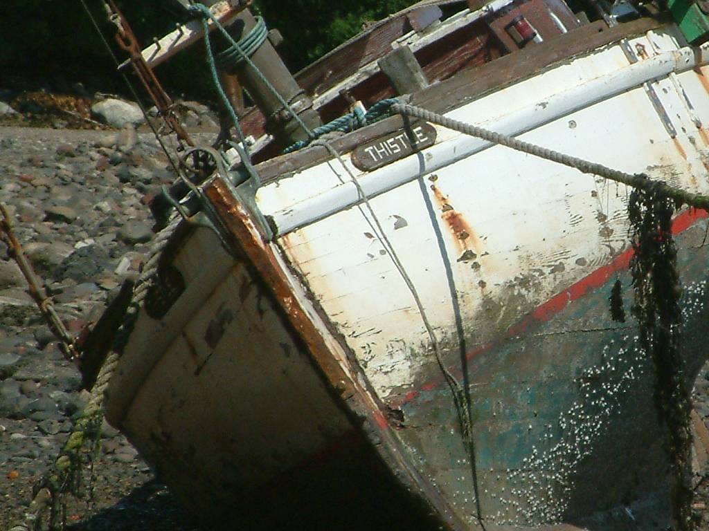 Click now to see this image full size.