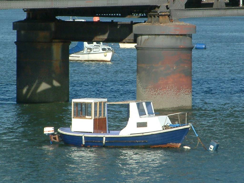 Click now to see this image full size.