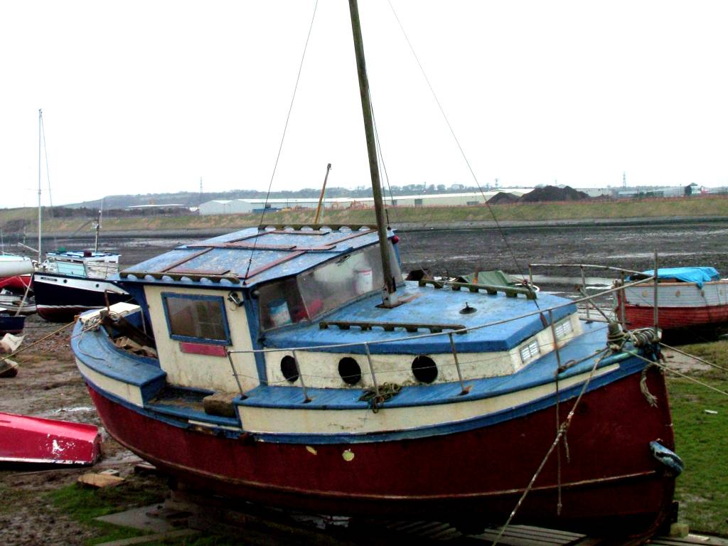 Click now to see this image full size.