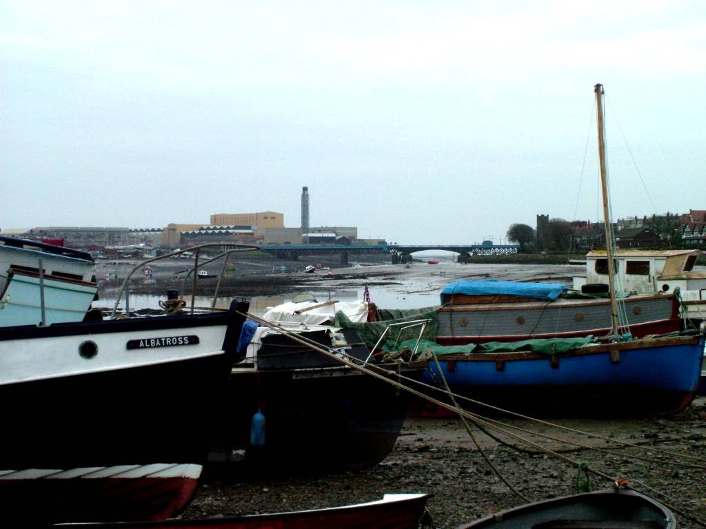 Click now to see this image full size.