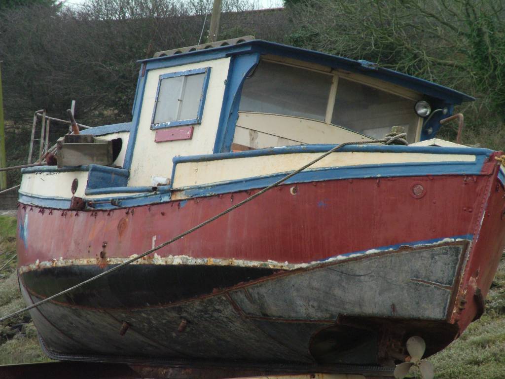 Click now to see this image full size.