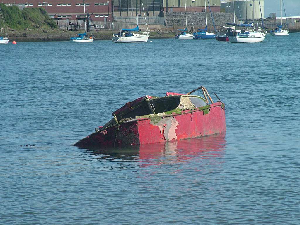 Click now to see this image full size.