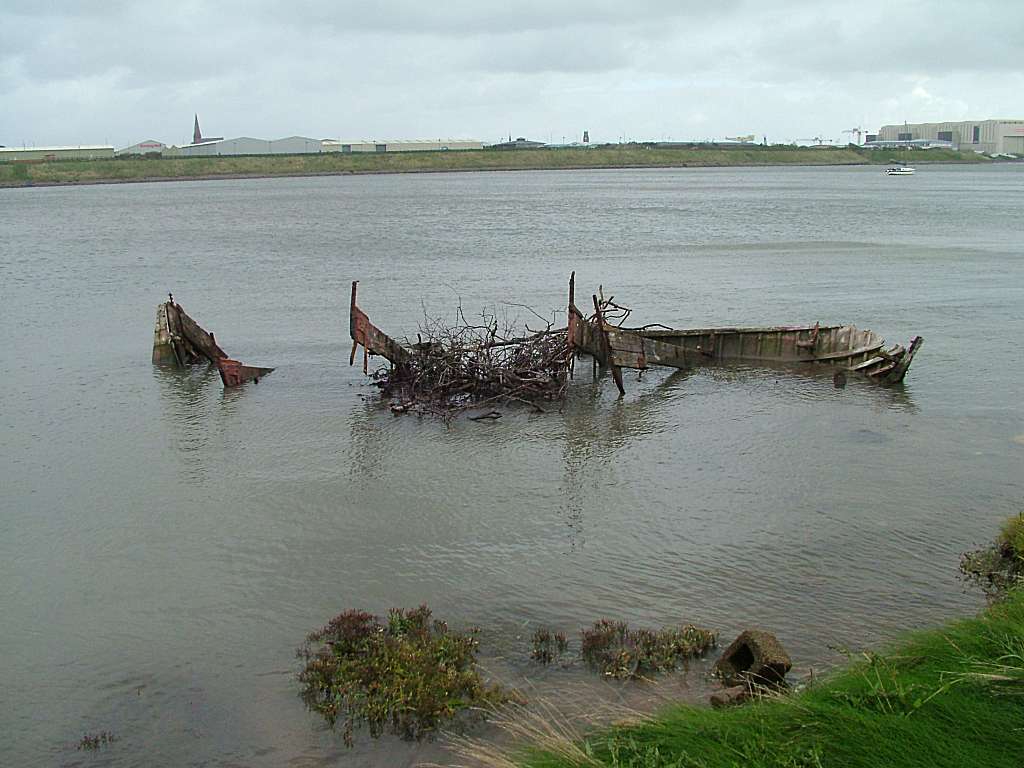 Click now to see this image full size.