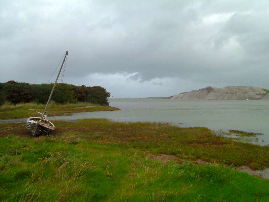 Click now to see this image full size.