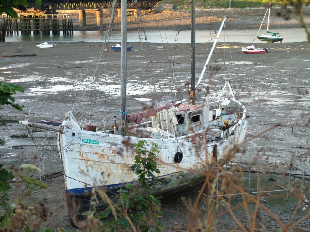 Click now to see this image full size.