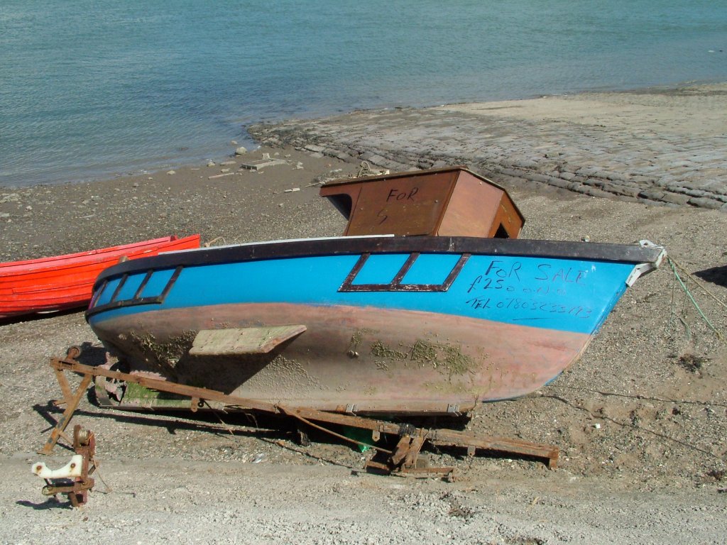 Click now to see this image full size.