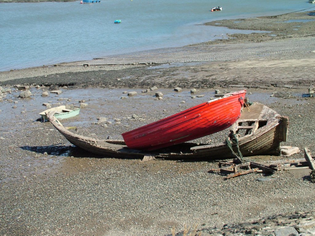 Click now to see this image full size.