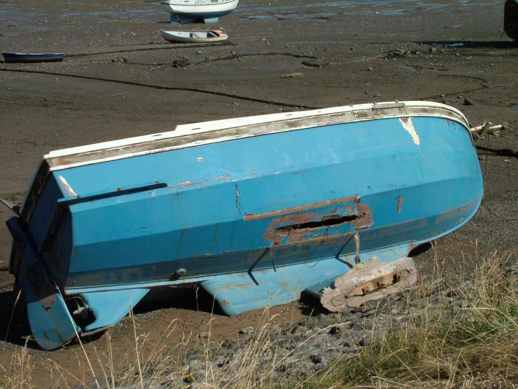 Click now to see this image full size.