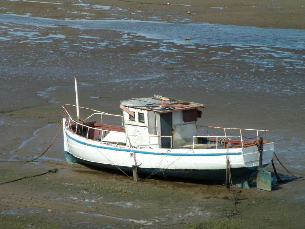 Click now to see this image full size.