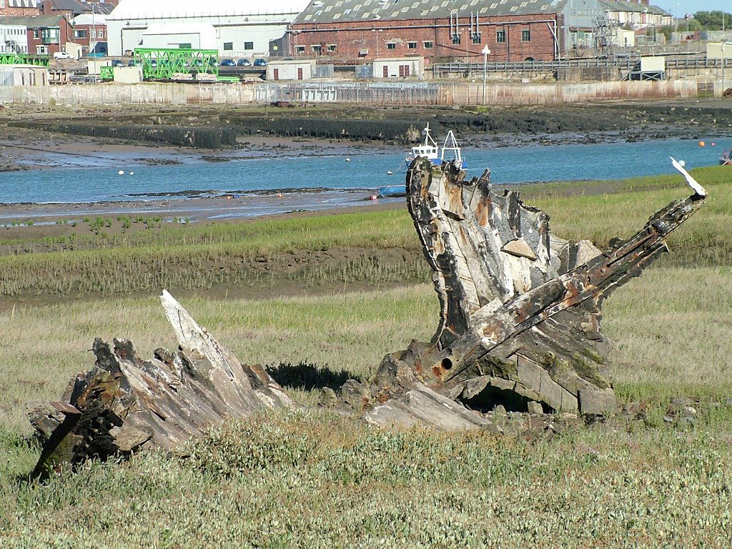 Click now to see this image full size.