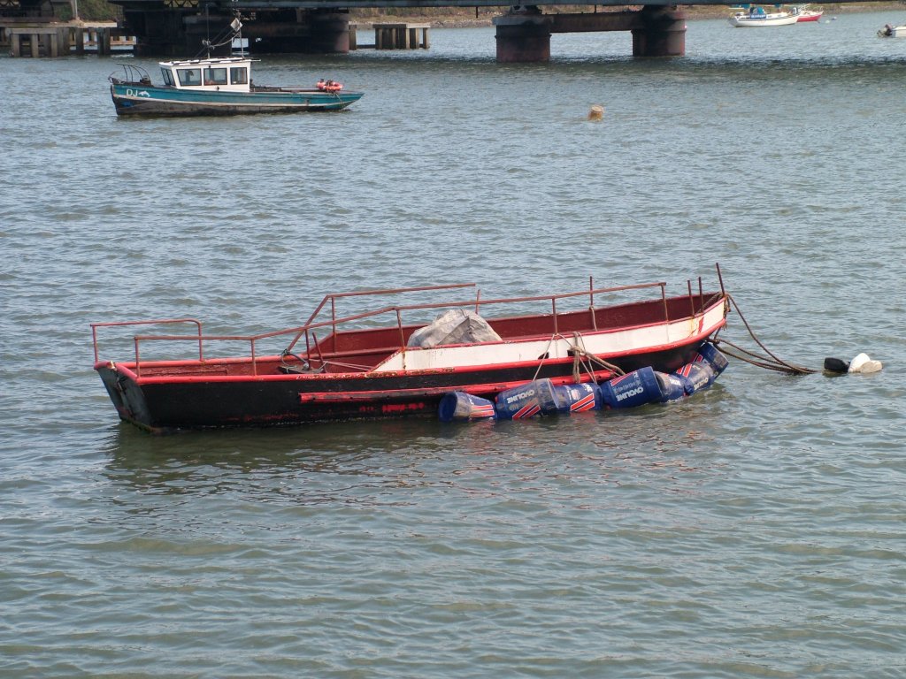 Click now to see this image full size.