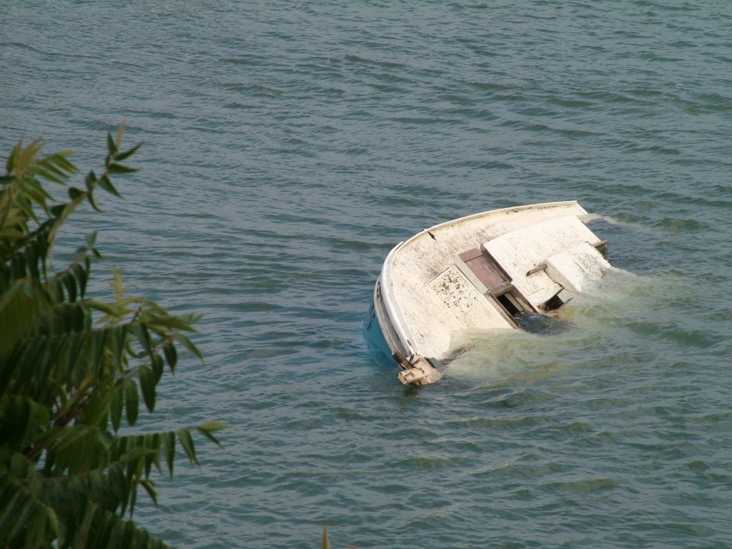 Click now to see this image full size.