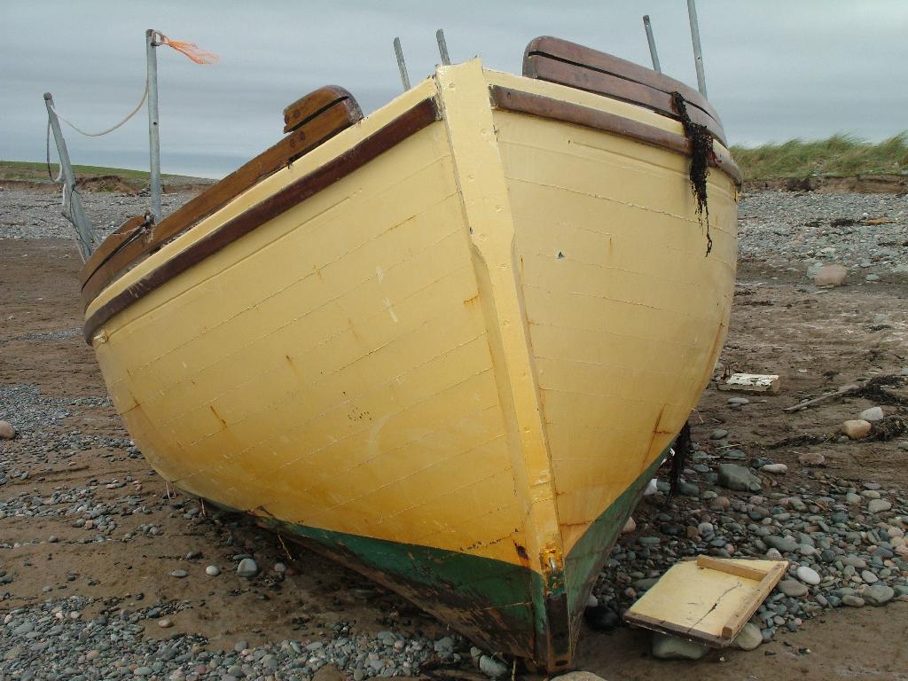 Click now to see this image full size.