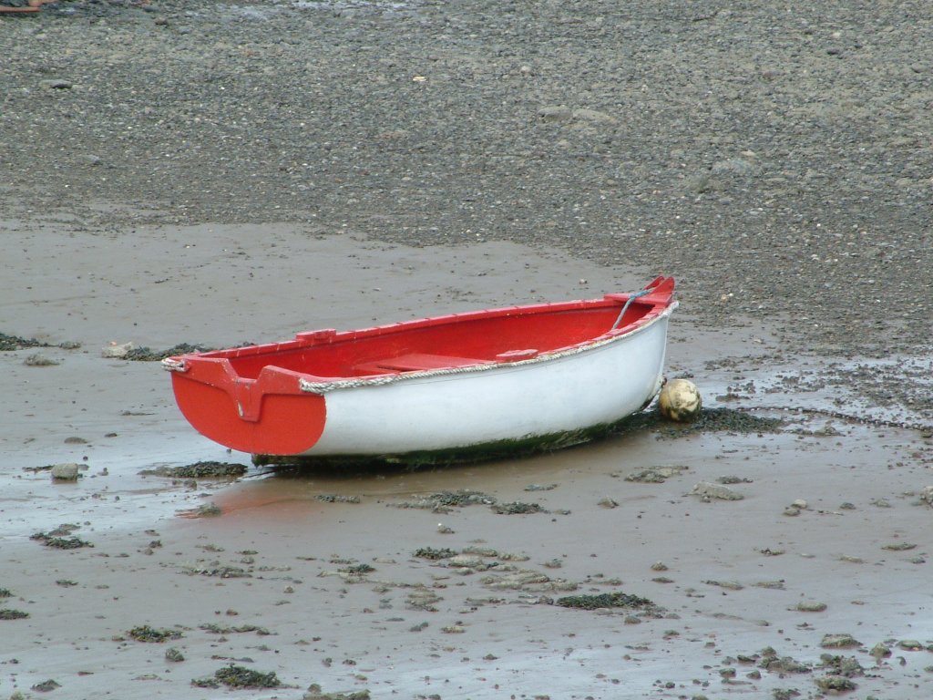 Click now to see this image full size.