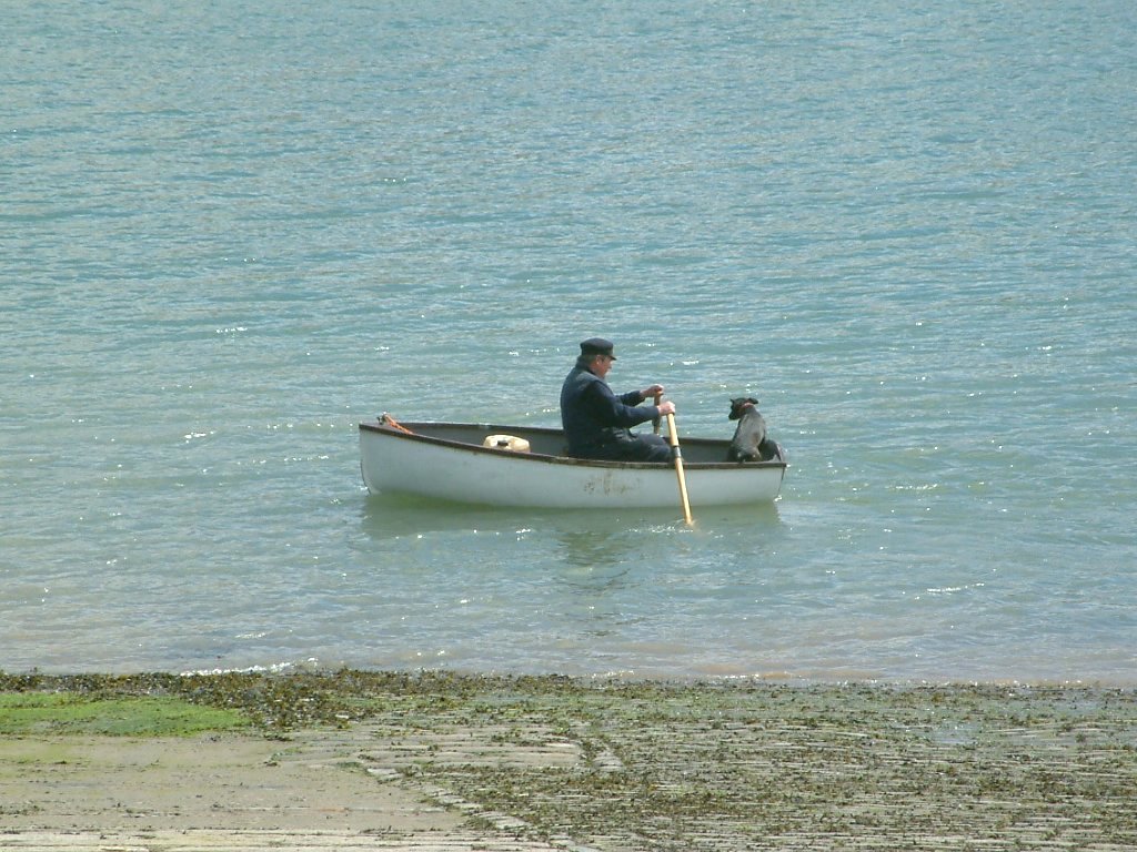 Click now to see this image full size.