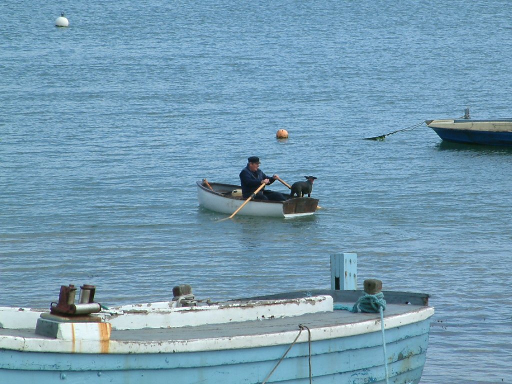 Click now to see this image full size.