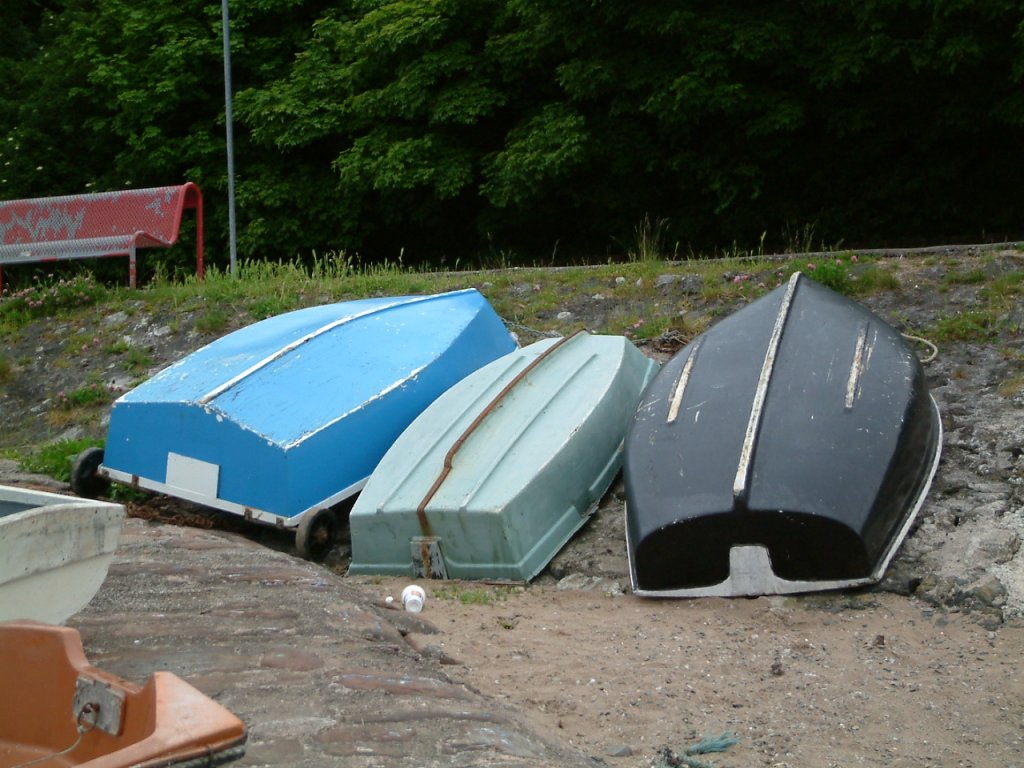 Click now to see this image full size.