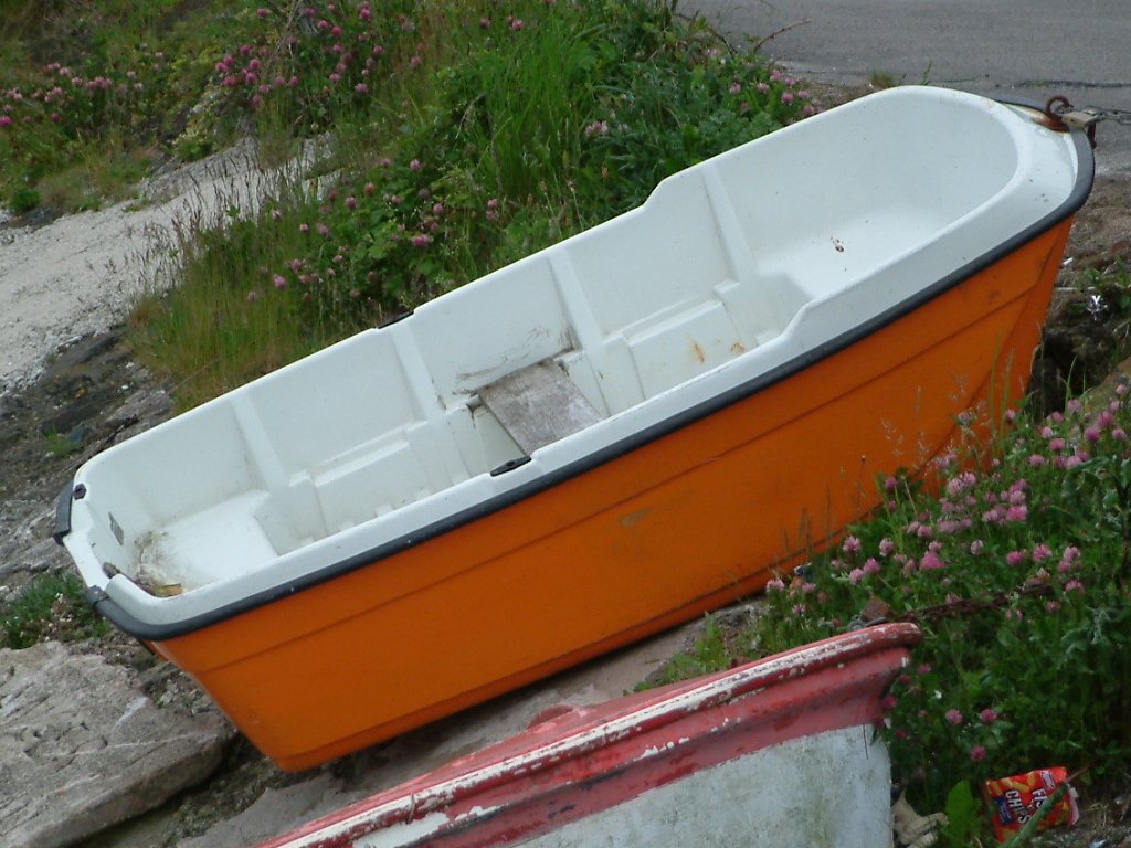 Click now to see this image full size.