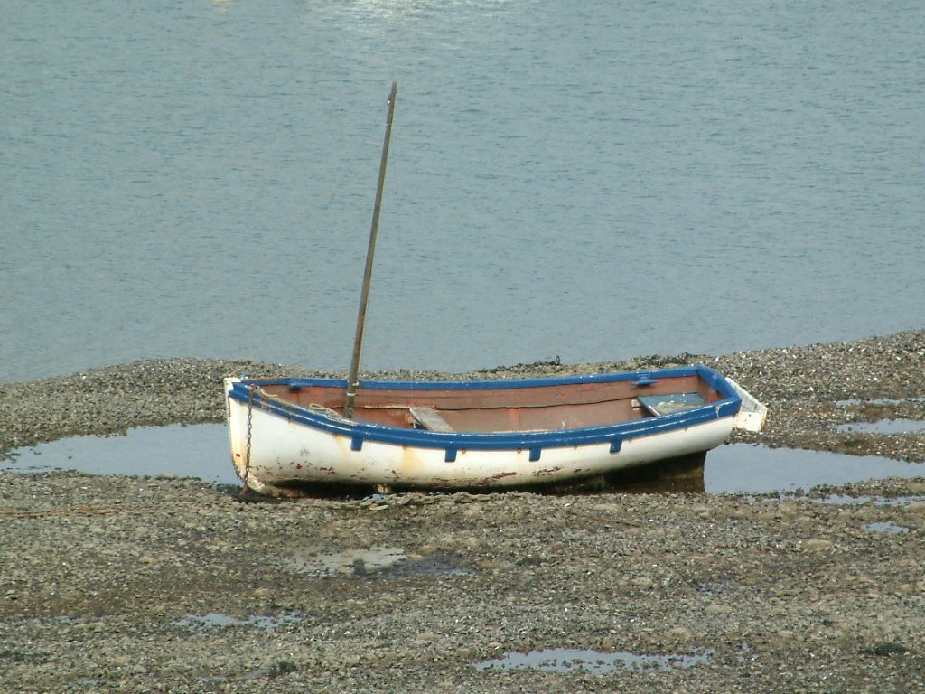 Click now to see this image full size.