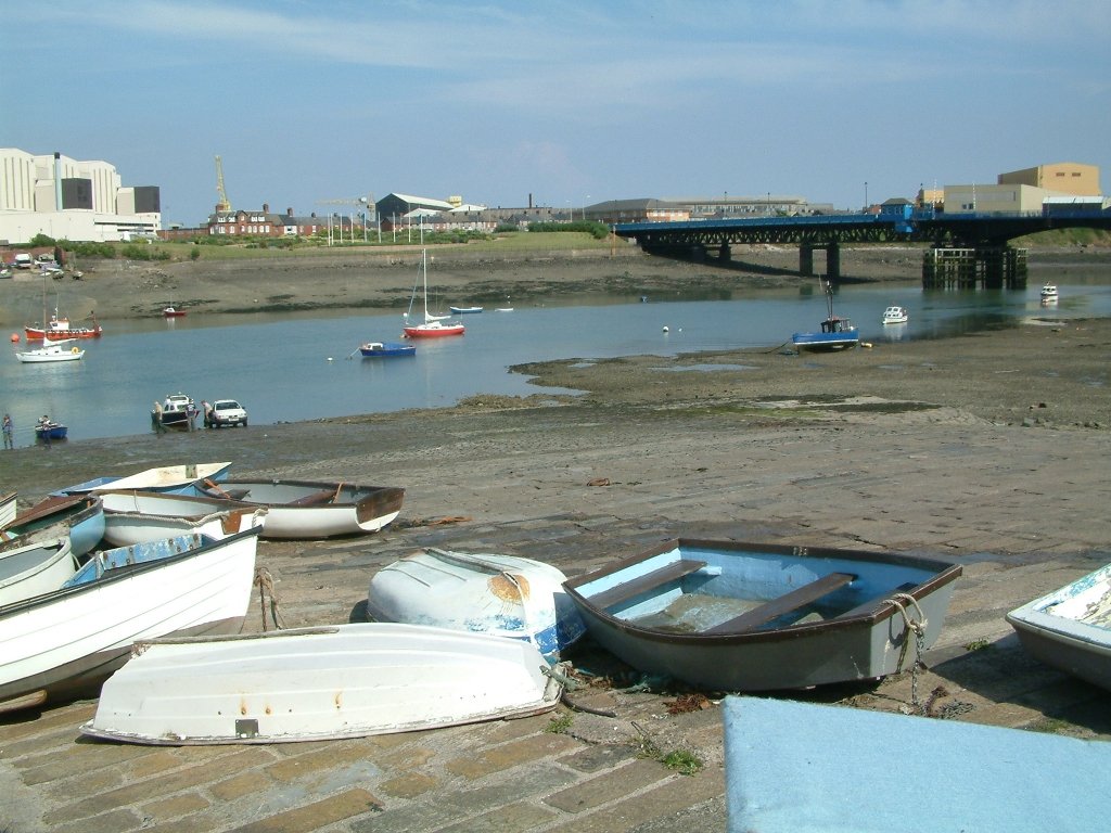 Click now to see this image full size.