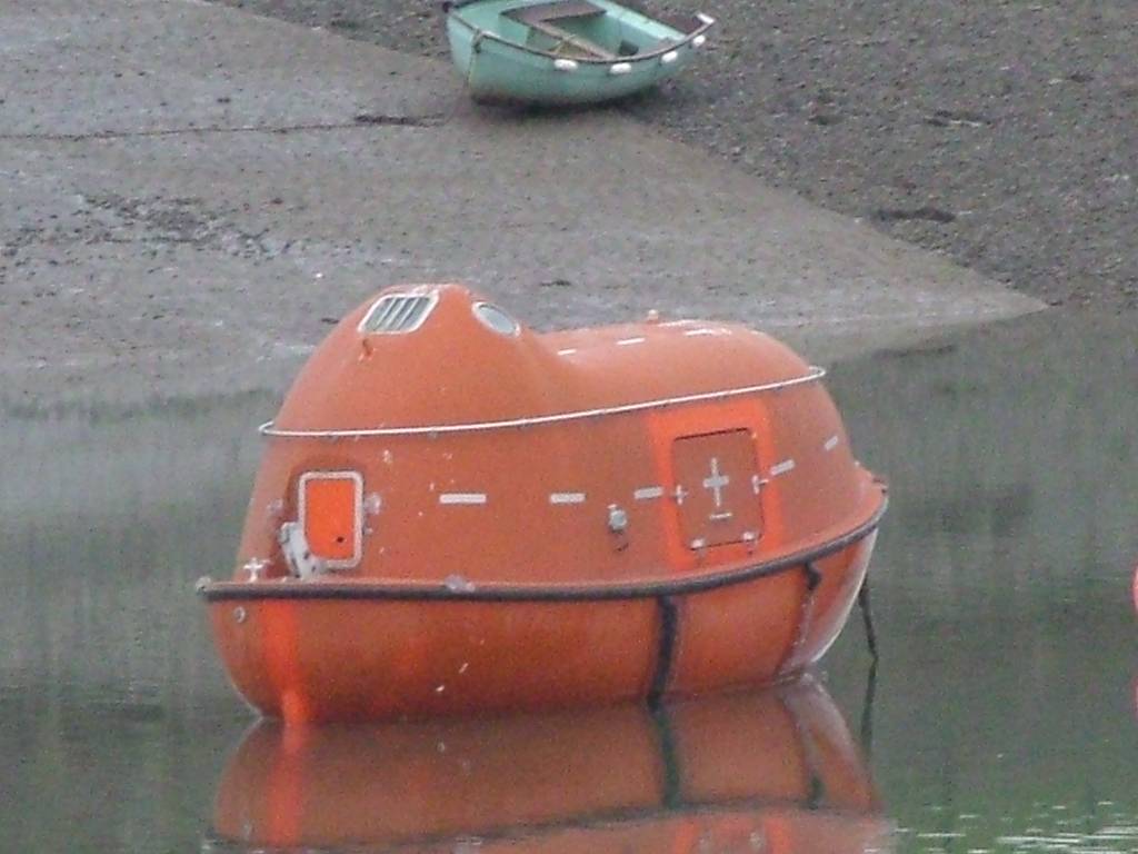 Click now to see this image full size.