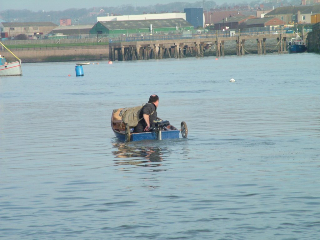 Click now to see this image full size.