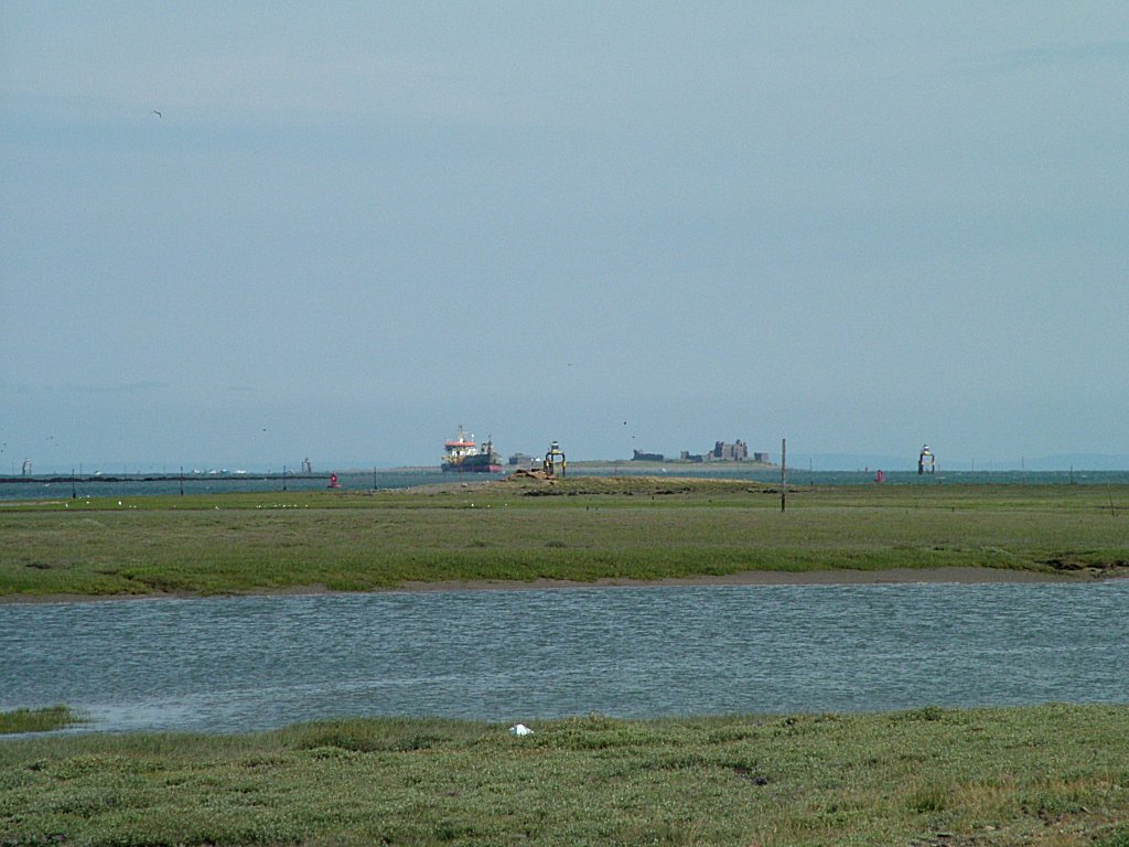 Click now to see this image full size.