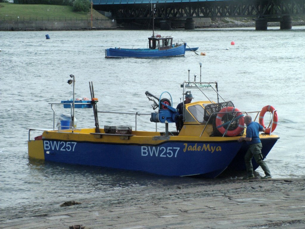 Click now to see this image full size.