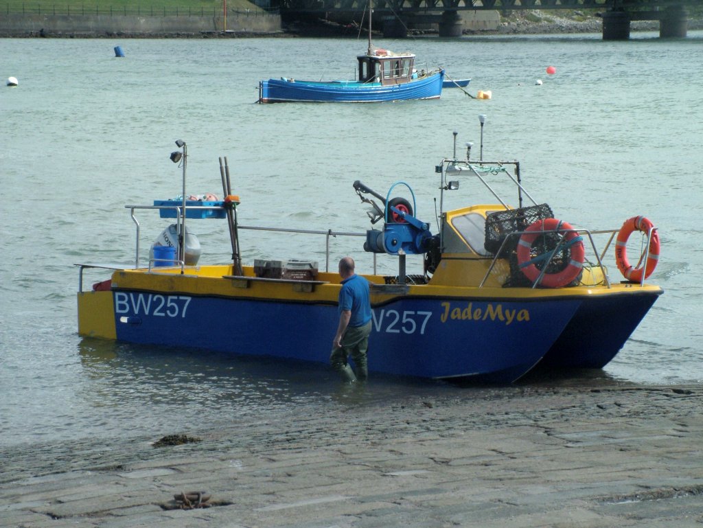 Click now to see this image full size.