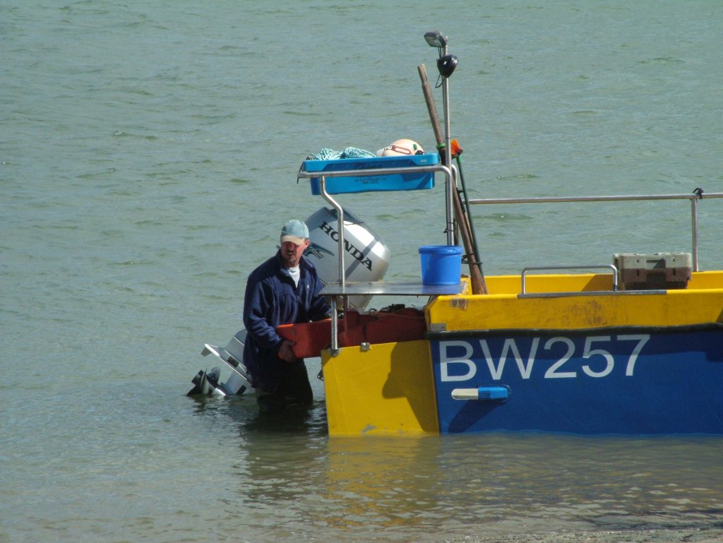 Click now to see this image full size.