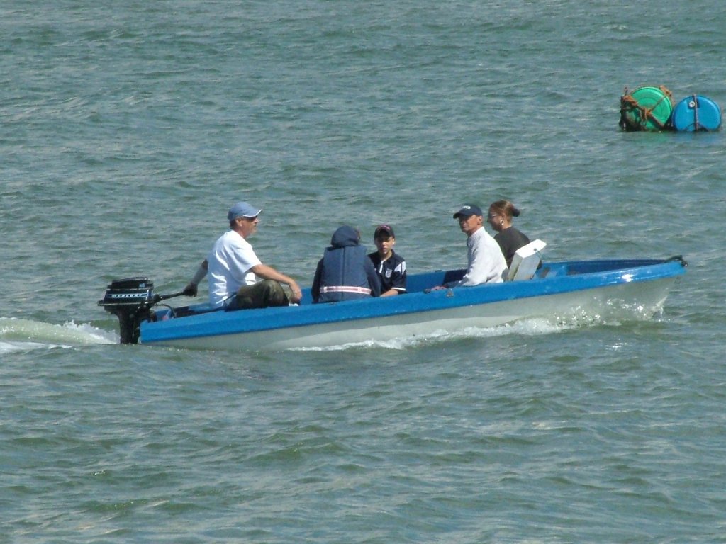 Click now to see this image full size.