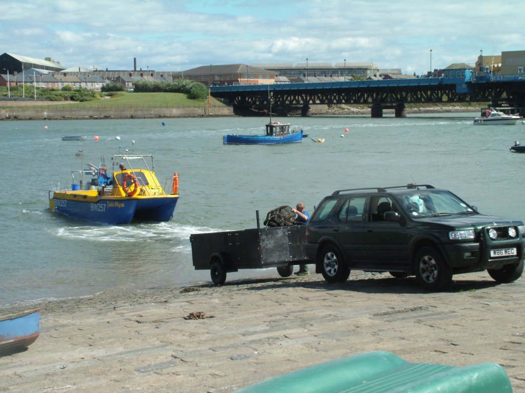 Click now to see this image full size.