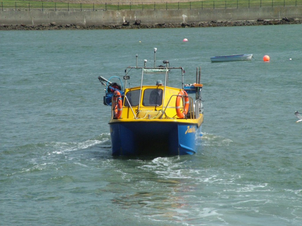 Click now to see this image full size.