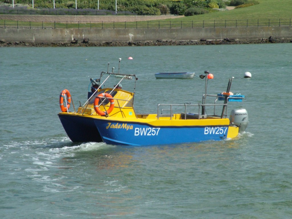 Click now to see this image full size.