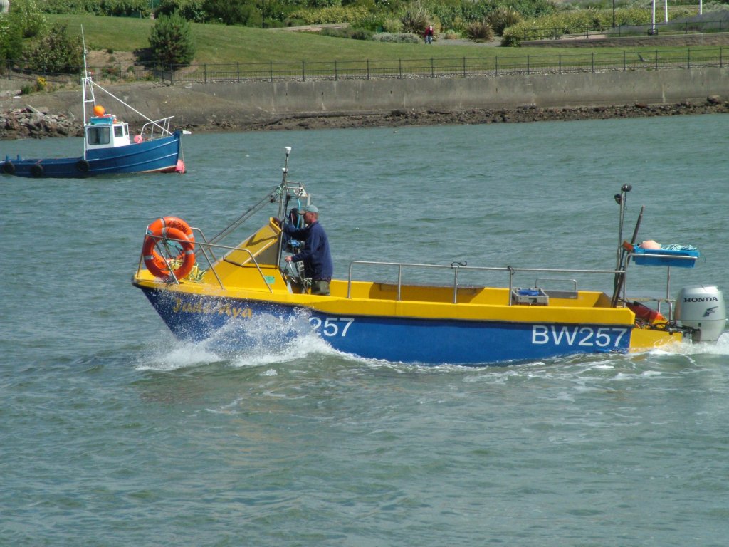 Click now to see this image full size.