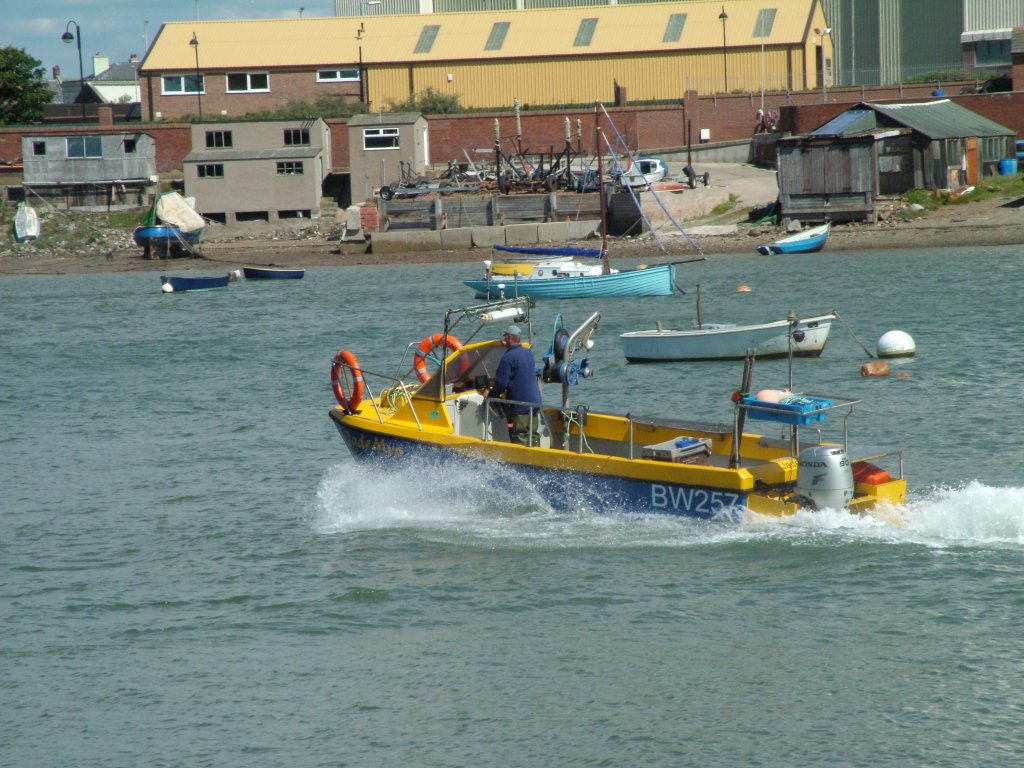 Click now to see this image full size.