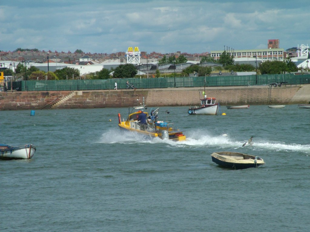 Click now to see this image full size.