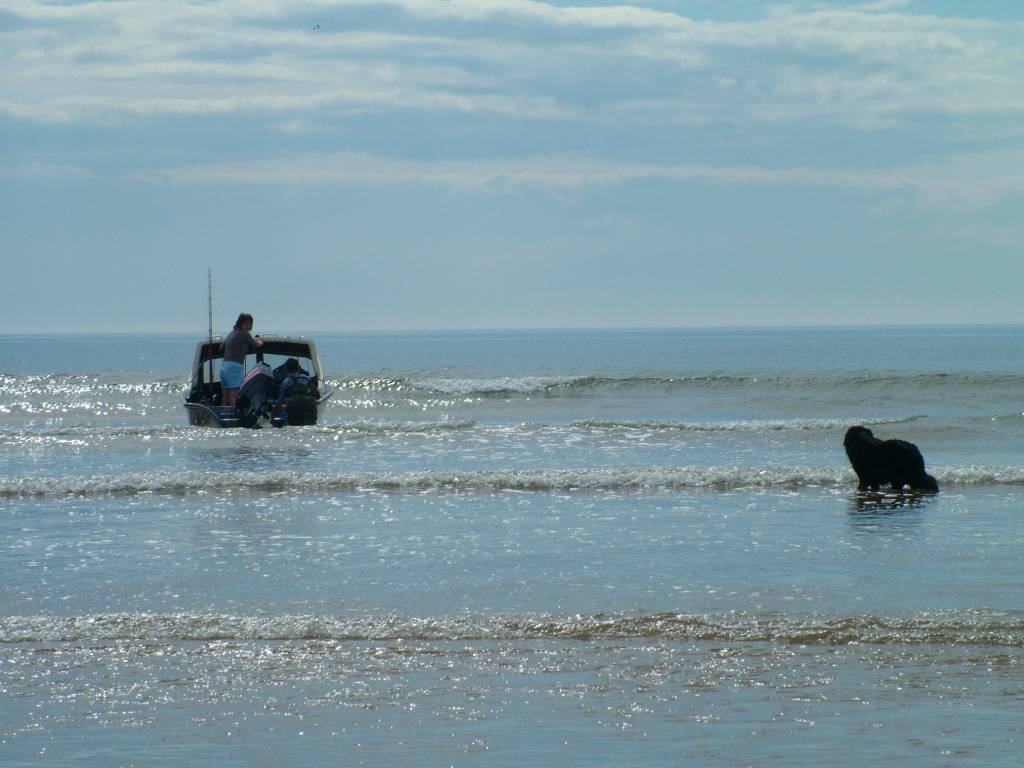 Click now to see this image full size.