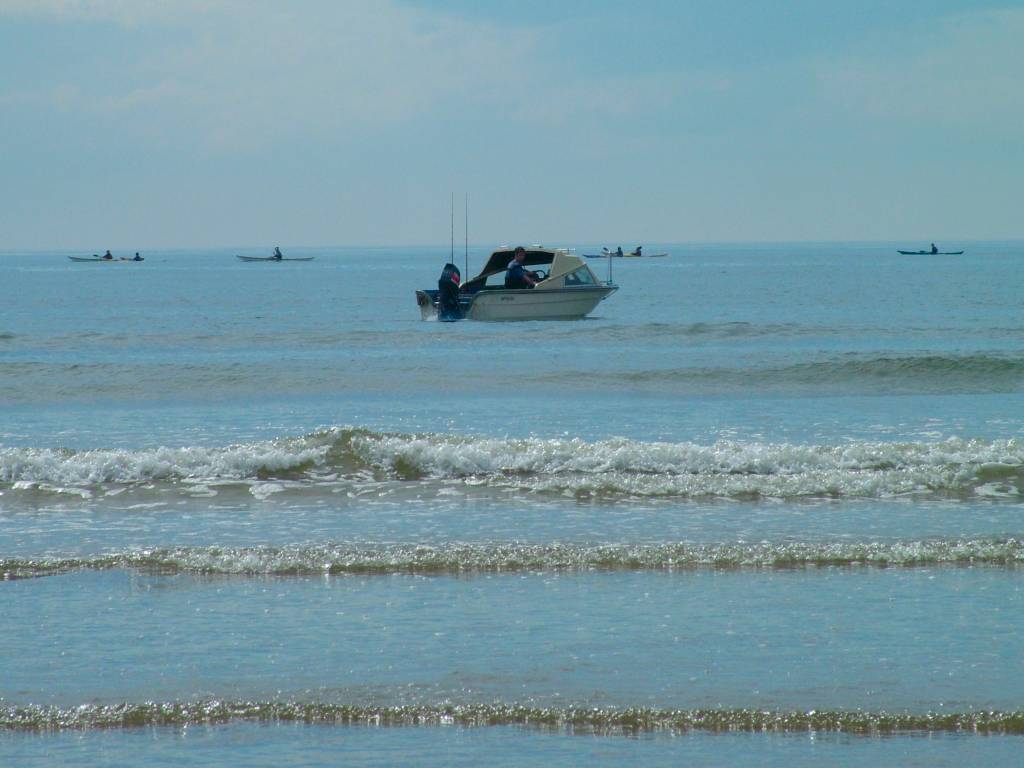 Click now to see this image full size.