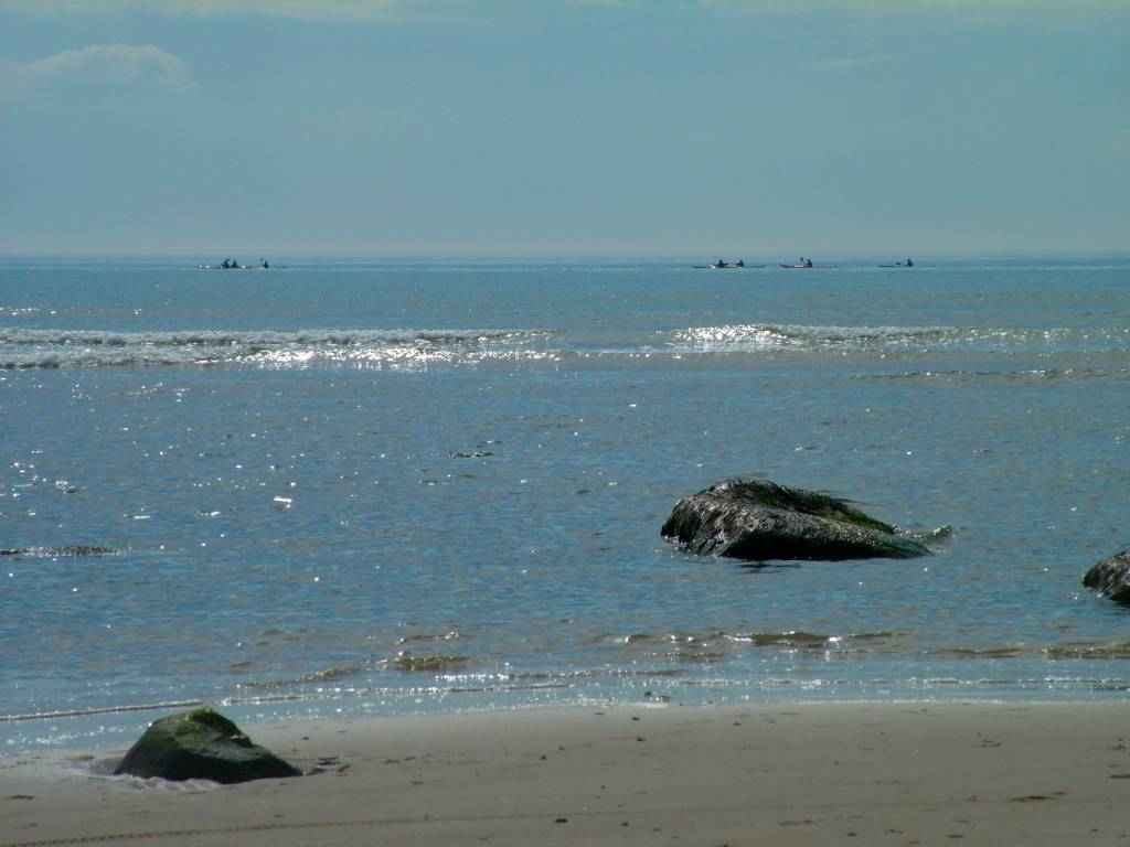 Click now to see this image full size.