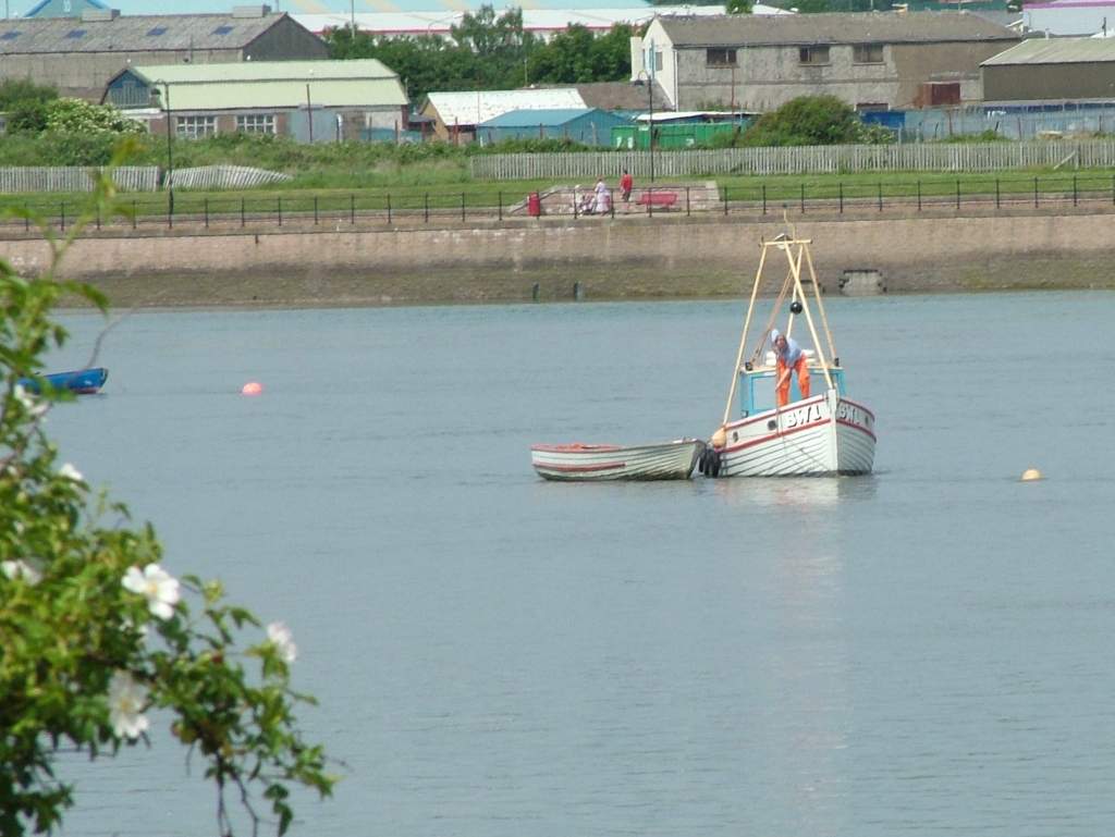 Click now to see this image full size.