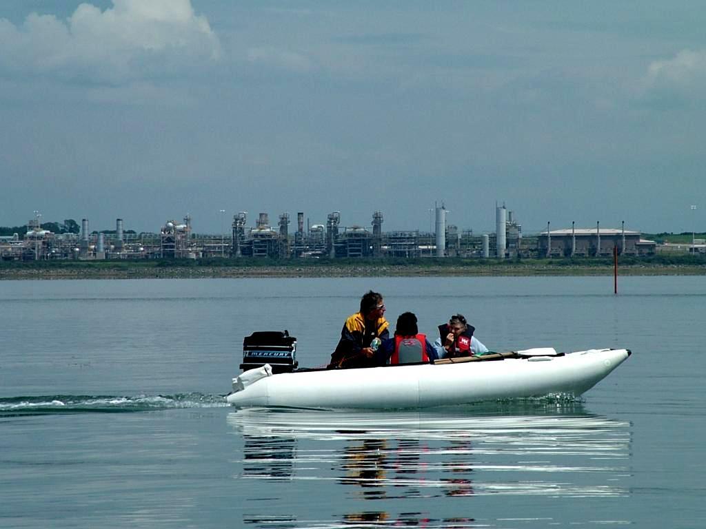 Click now to see this image full size.