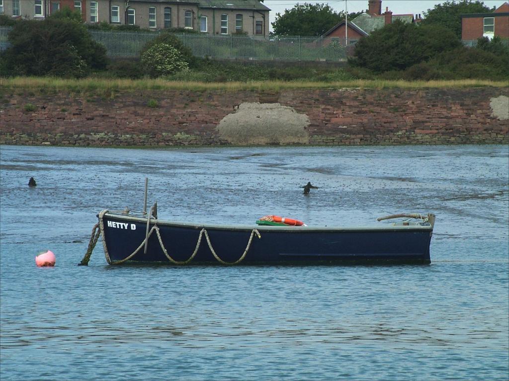 Click now to see this image full size.