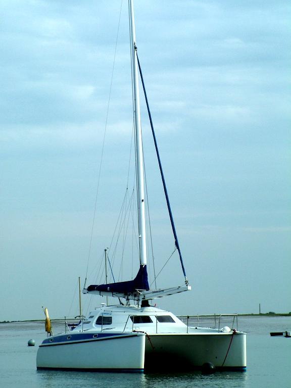 Click now to see this image full size.