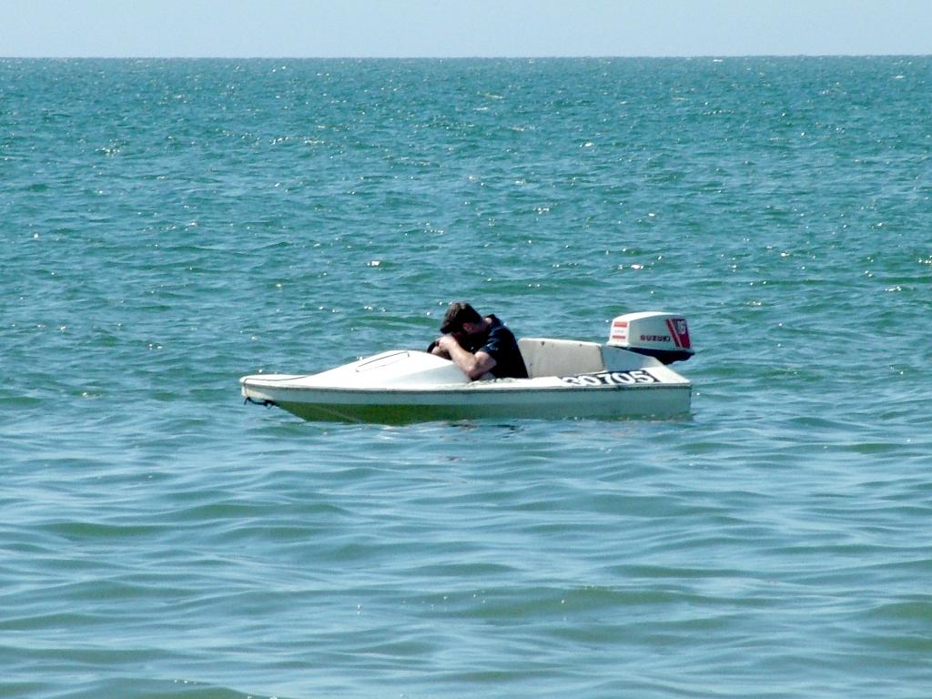 Click now to see this image full size.