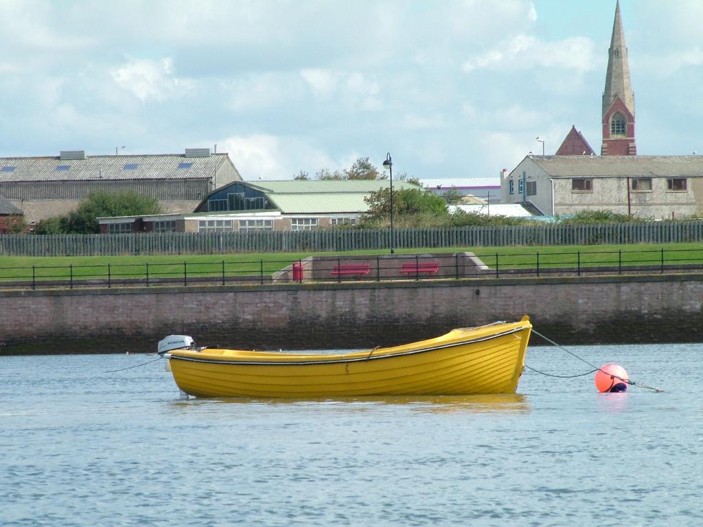 Click now to see this image full size.