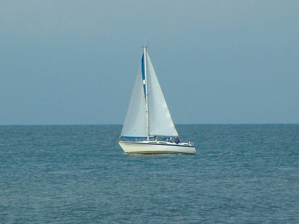 Click now to see this image full size.