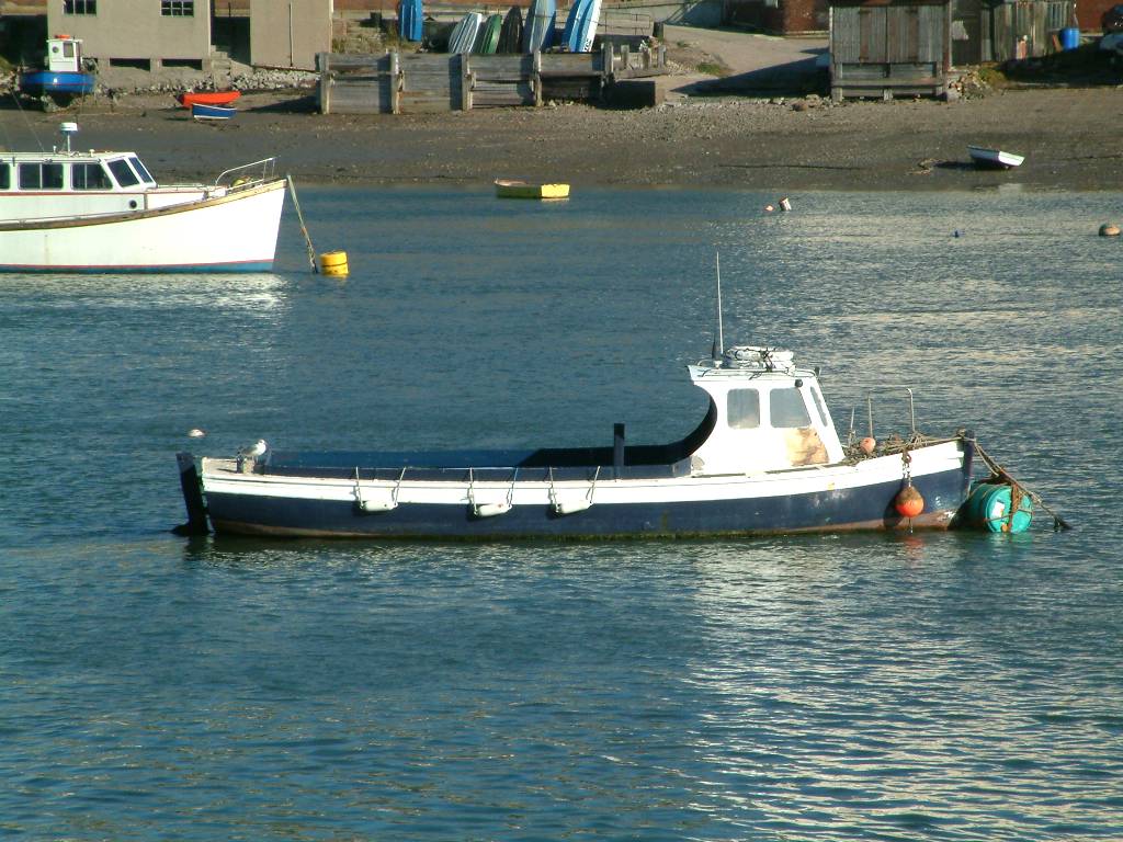 Click now to see this image full size.