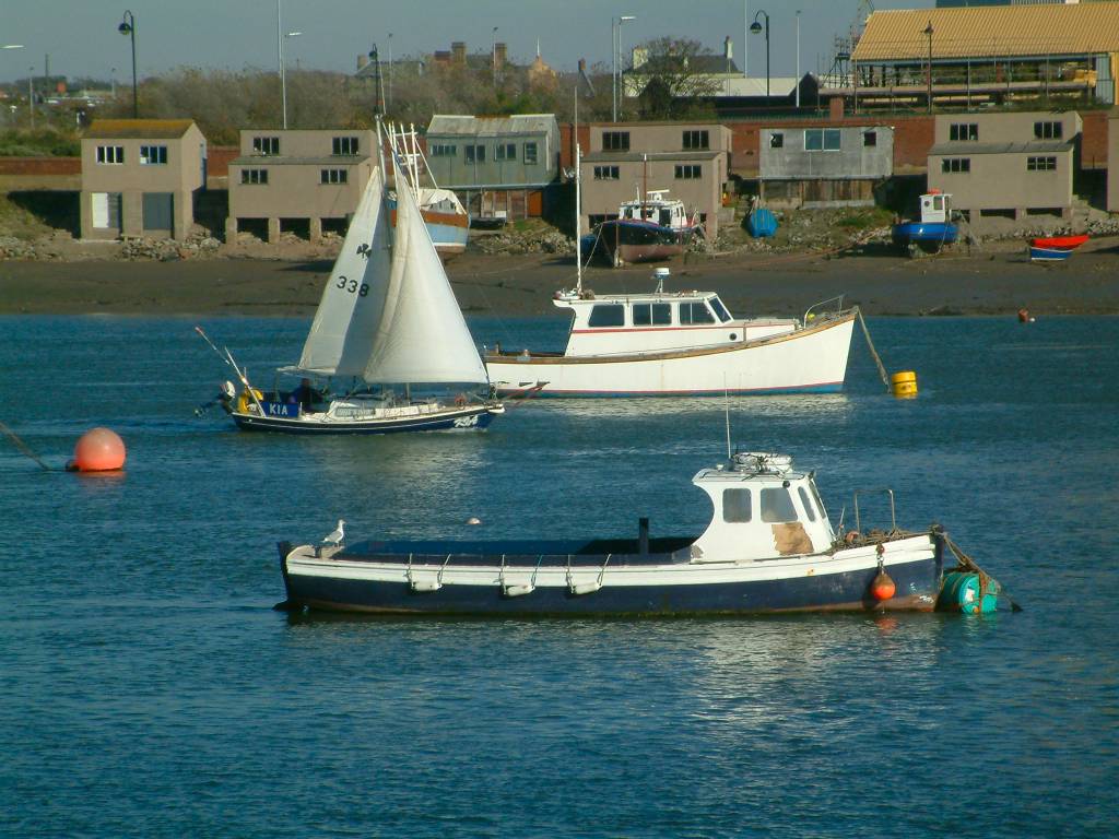 Click now to see this image full size.