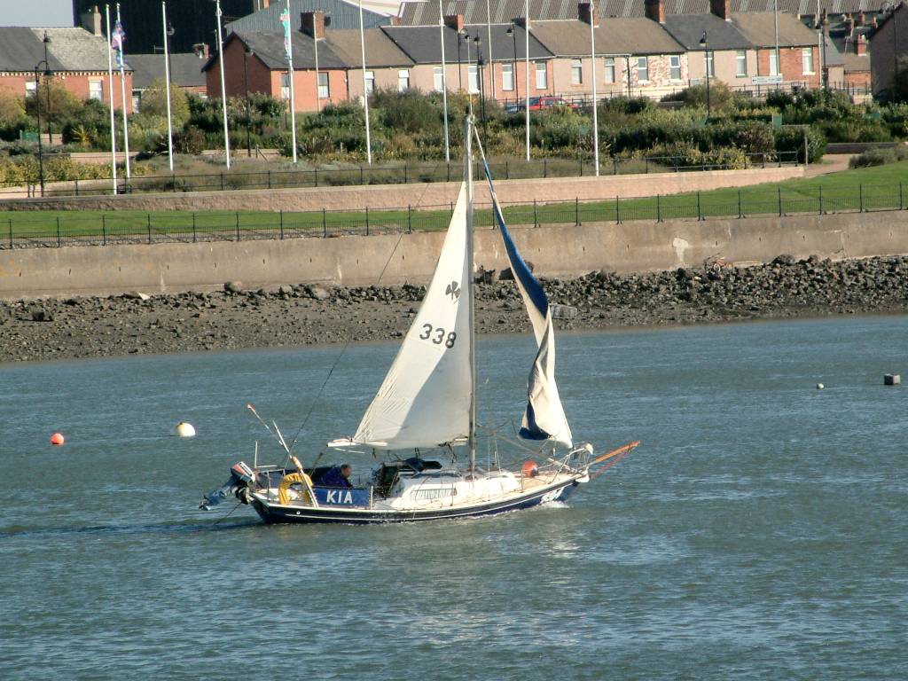 Click now to see this image full size.